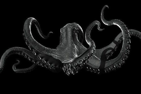 Kraken зеркало krakens13 at